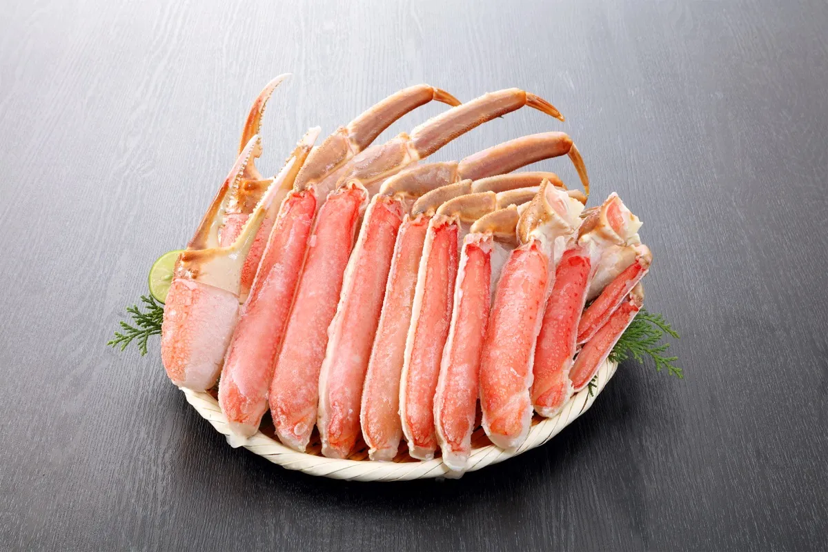 殻の上半分を切った生ずわいの脚と爪・肩の部分が、ざるに扇の形に並べて盛られている写真