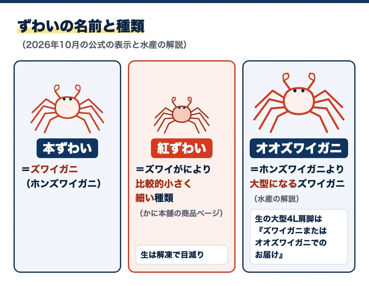 ずわいの名前と種類の図(2026年10月の公式の表示と水産の解説)。本ずわいはズワイガニ(ホンズワイガニ)、紅ずわいはズワイがにより比較的小さく細い種類で生は解凍で目減り、オオズワイガニはホンズワイガニより大型になるズワイガニで、生の大型4L肩脚は「ズワイガニまたはオオズワイガニでのお届け」