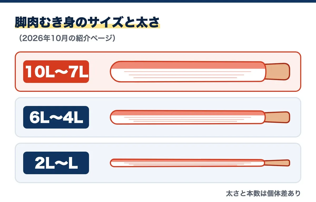 脚肉むき身のサイズと太さの図(2026年10月の紹介ページ)。上から10L~7L、6L~4L、2L~Lの順に脚の身が細くなり、太さと本数は個体差あり